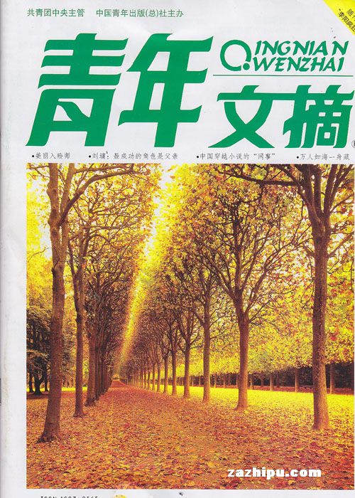 青年文摘2009年11月