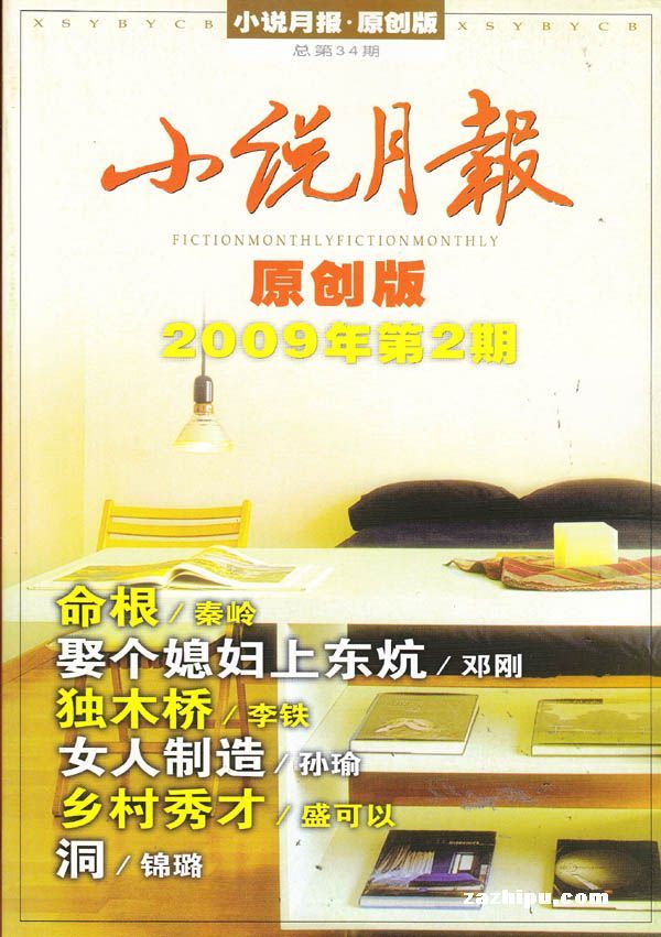 小说月刊2009年2月刊封面图片-杂志铺zazhipu
