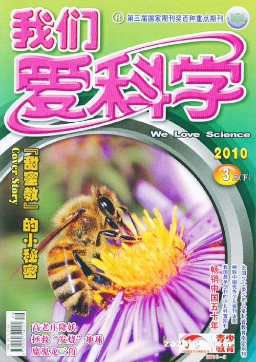 我们爱科学2010年3月下-我们爱科学(少年版)杂志封面,内容精彩试读