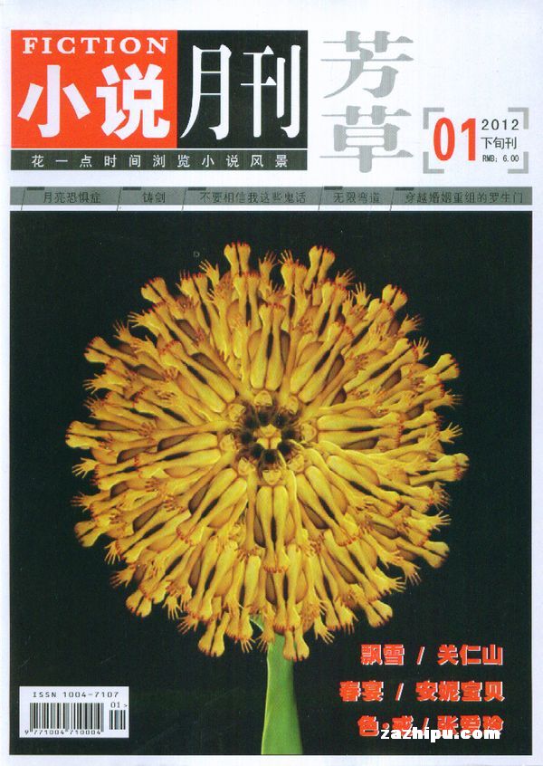 芳草小说月报2012年1月期-芳草小说月报订阅