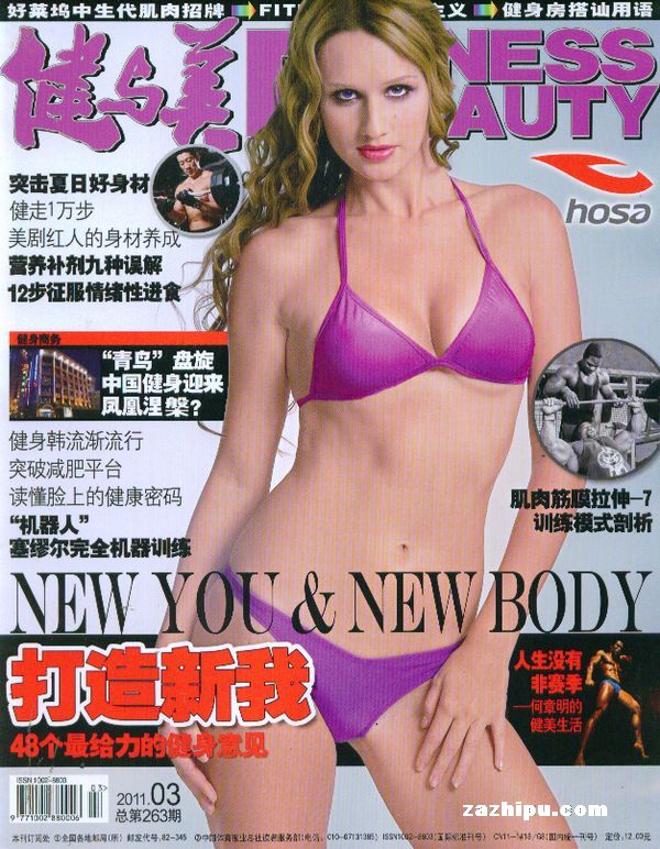20113