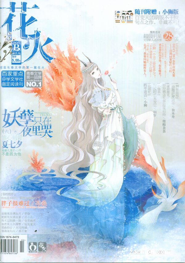 花火b版杂志订阅