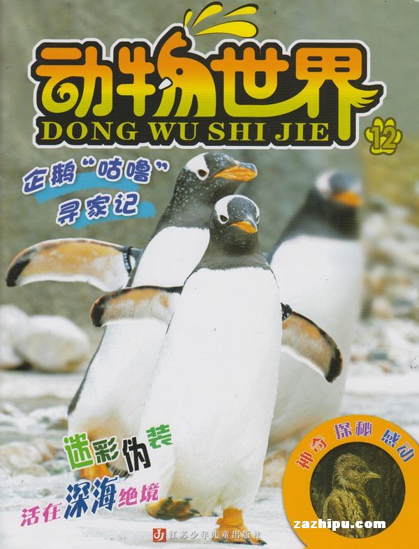 动物世界2013年12月期