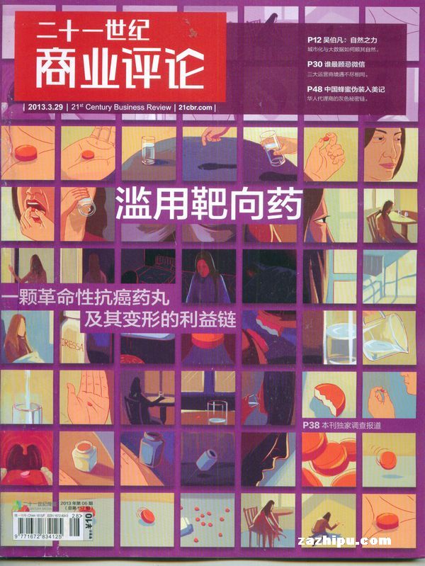 21世纪商业评论2013年1月第1期-21世纪商业评