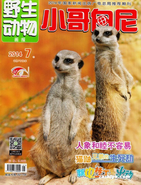 小哥白尼野生动物画报(半年共6期)(杂志订阅)_动物世界 小哥白尼野生动物画报(半年共6期)(杂志订阅)