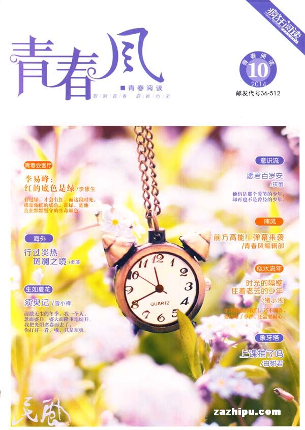 青春风青春阅读2014年10月期-疯狂阅读下一站大学杂志封面,内容精彩