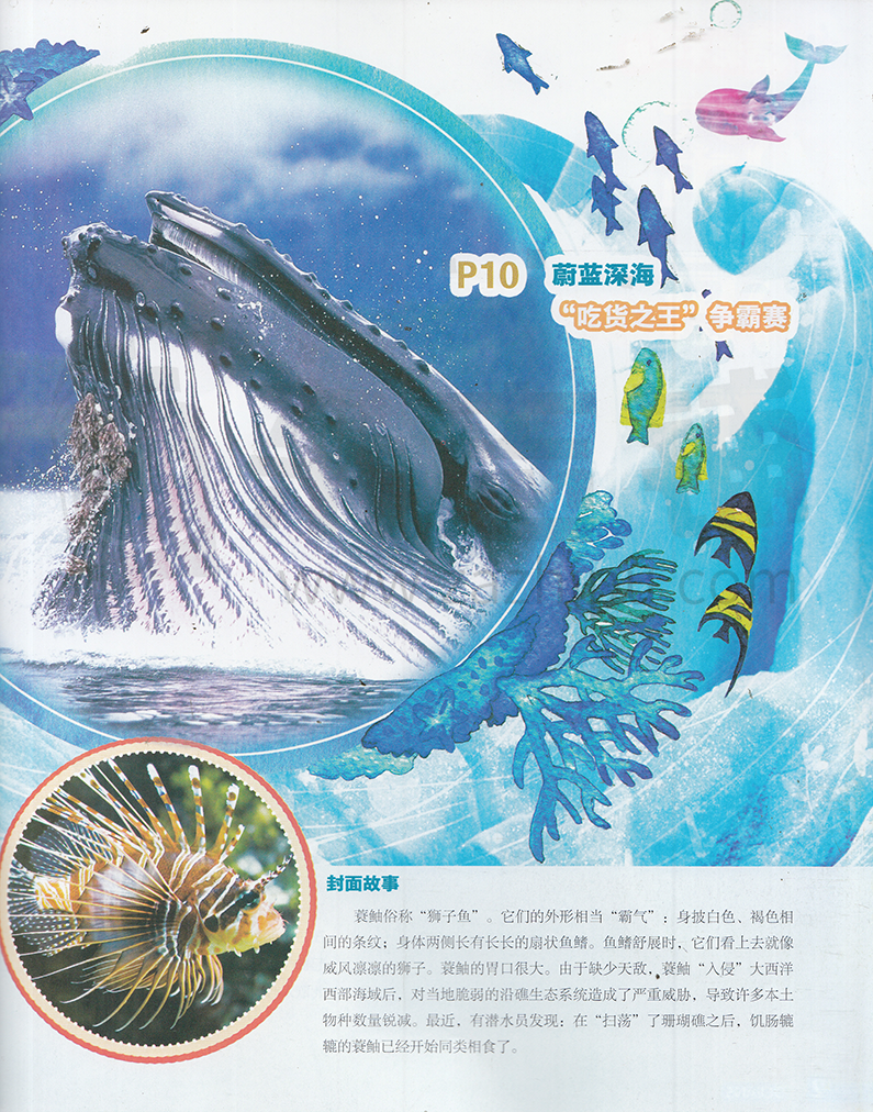 海洋探秘-2019-03-试读-海洋探秘杂志封面,内容精彩试读