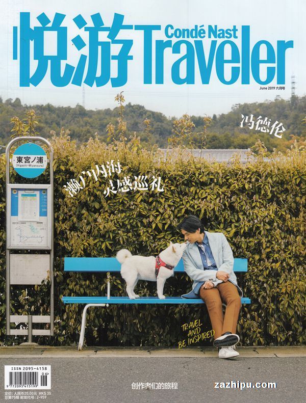 Traveler20196
