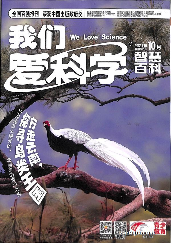 我们爱科学(少年版)2021年10月期2-我们爱科学(少年版)杂志封面,内容