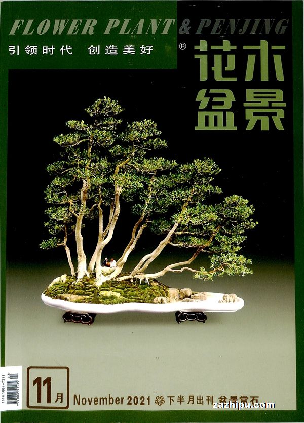 花木盆景盆景赏杂志订阅