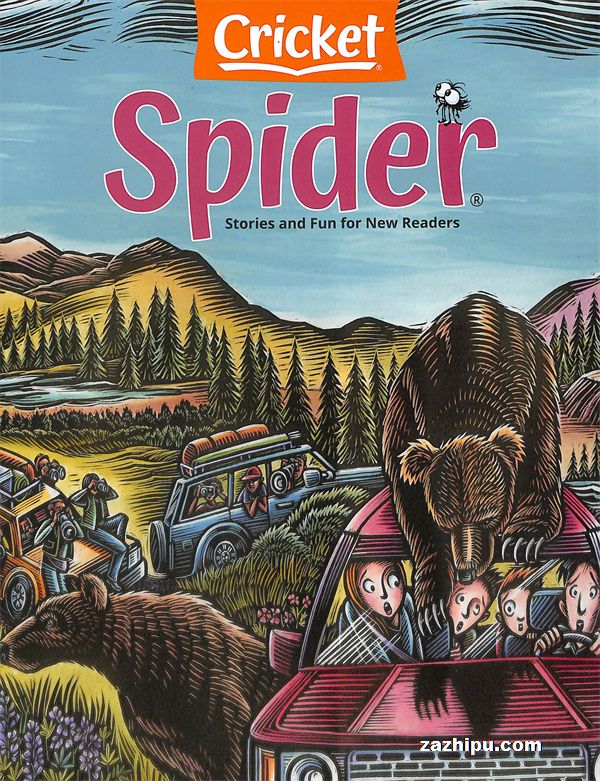 Spider20237-8