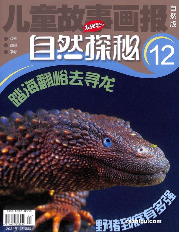 Ȼ̽202412