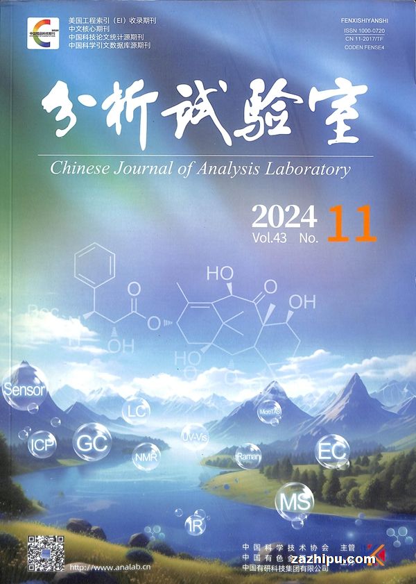 202411