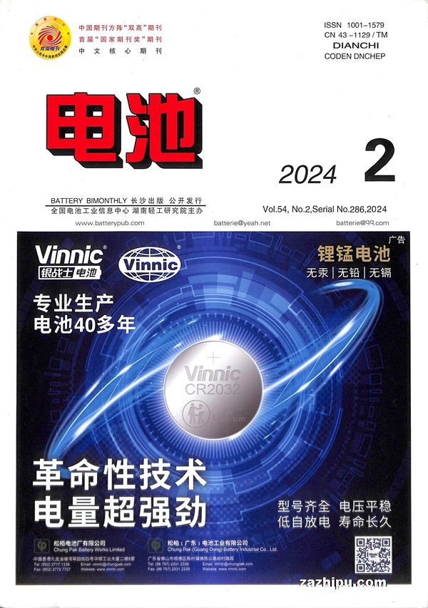 20243