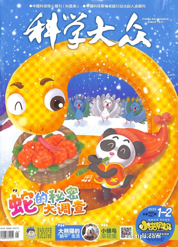 ѧСŵСѧ꼶20251-2