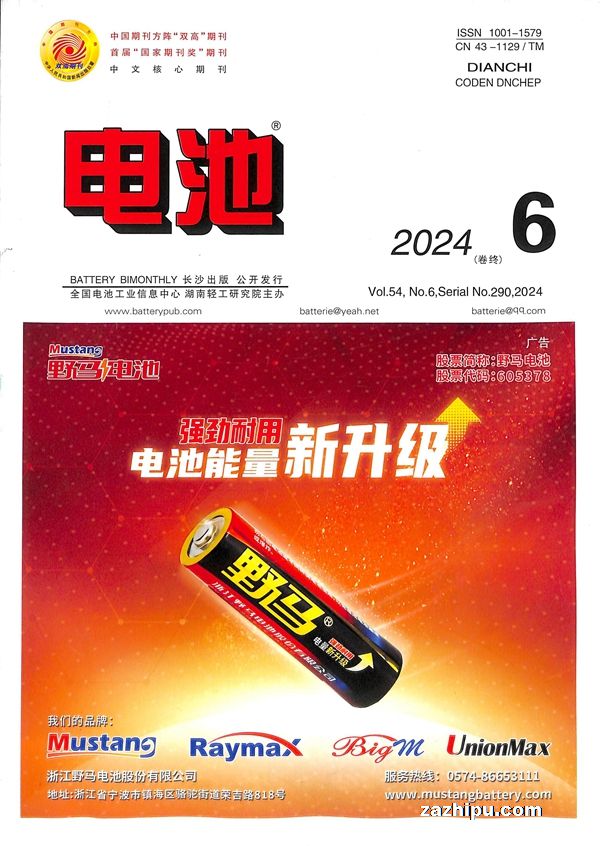 202411