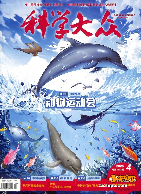 ѧСŵСѧи꼶20254