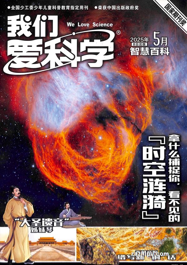 ǰѧ棩20255