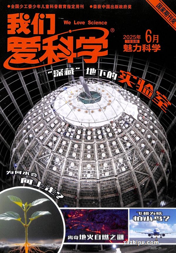 ǰѧ棩20256