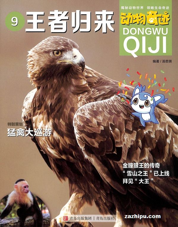 漣1깲12ڣ־ģ