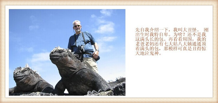 海洋主题画报幼儿园_脾气网 她就像是一个知识的大宝库,用生动的语言、精美的图片把你带进一个又一个知识的殿堂。 《小哥白尼》是由陕西省出版总社主办的一份大型少年科学月刊,创刊于1997年1月。最初引进台湾新学友的总分内容,虽然采用双色印刷,但由于编辑们辛勤的努力工作,再加上图文并茂的形式,很快便吸引了大批少年儿童读者;后来,随着读者对图片质量要求的不断提高,小哥白尼也采用了全彩印刷,精美的图片,丰富的知识和趣味性的文字,便利小哥白尼更上一层楼,成为中国儿童最喜欢的科普杂志。不少读者来信反映:希望能一月看到两期甚至更多期,经过2004