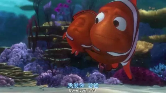 《海底总动员》这部动画片相信很多人都看过,影片中,小丑鱼尼莫生长在一个单亲家庭,抚养他长大的爸爸玛林则是个处处谨小慎微的小男人。但是,尼莫在一次逞强时被渔船捕捞,为了救孩子,爸爸玛林远涉重洋、历尽艰险终于救回了儿子,也赢得了自己的人生。 可是,你知道吗?虽然这部电影中的海底世界、各种动物形象都非常符合现实自然界中的生物状态(尤其是健忘的蓝吊多瑞),但是其实整个故事中藏着一个BUG。那就是,当尼莫的妈妈珊珊为了保护孩子们去世之后,他的爸爸玛林就会变成他的妈妈。 公子小丑 《海底总动员》中的主角