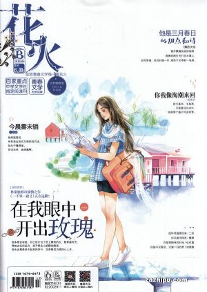 花火b版订阅,花火b版杂志订购,杂志封面,杂志精