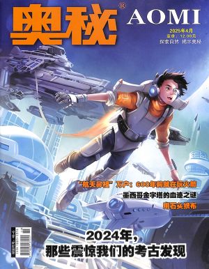 20254