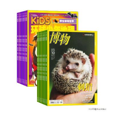 1깲12ڣ+KiDS϶ģ1깲12ڣ־ģ