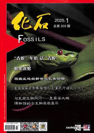 ʯйѧԺ1깲4ڣ