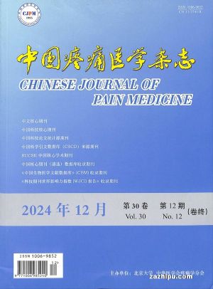 йʹҽѧ־Ӣİ棩ChineseJournalofPainMedicine1깲12ڣ