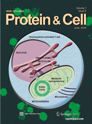 Protein & Cell ϸӢİ棩1깲12ڣ