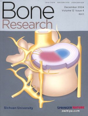 о(Ӣ)_Bone Research1깲6ڣ