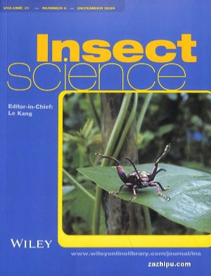 ѧ(Ӣİ)_Insect
