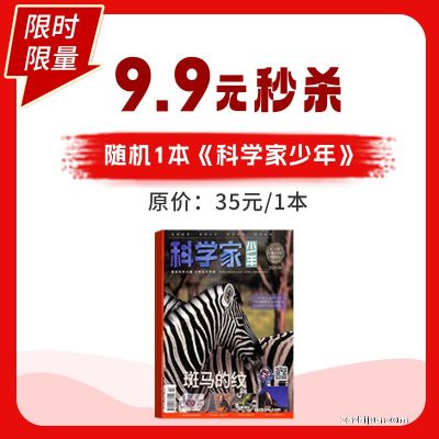 科学家少年2024年随机一本