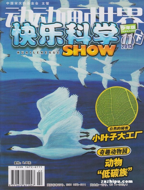 ������������ֿ�ѧSHOW������棩��1�깲24�ڣ�����־���ģ�