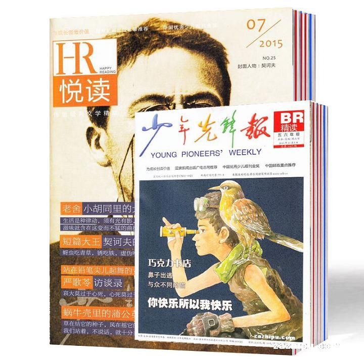 ö+ȷ汨꼶棩϶ģ1깲12ڣ־ģ