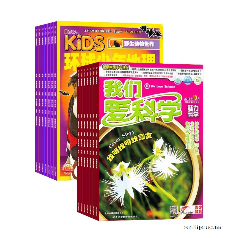 ǰѧ棩1깲12ڣ+KiDS1깲12ڣ϶ģ־ģ