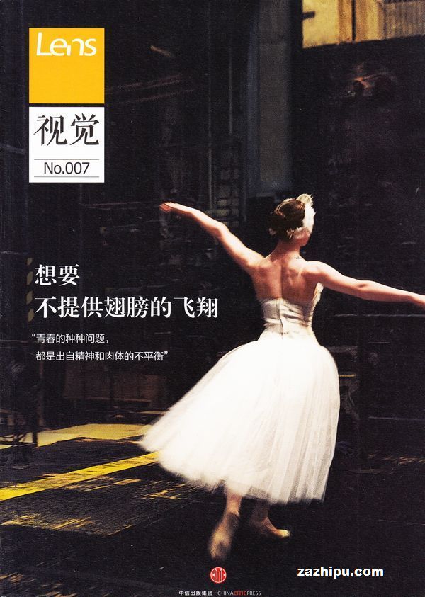 Lens文景(Lens视觉)