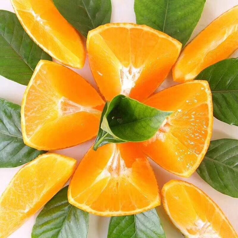 ¹