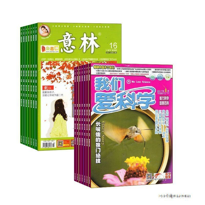 意林(1年共24期)+我们爱科学少年版(1年共12期)两刊组合订阅(杂志订阅)