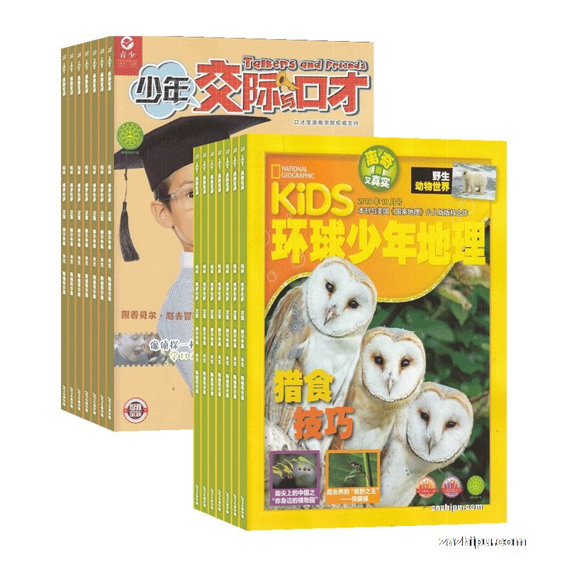 꽻ڲţ1깲12ڣ+KiDSҵٶȨ1깲12ڣ־ģ