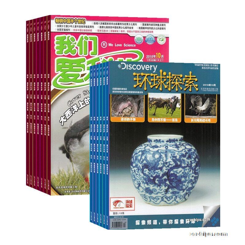 ���ǰ���ѧ��ͯ��+����̽����1�깲12�ڣ�