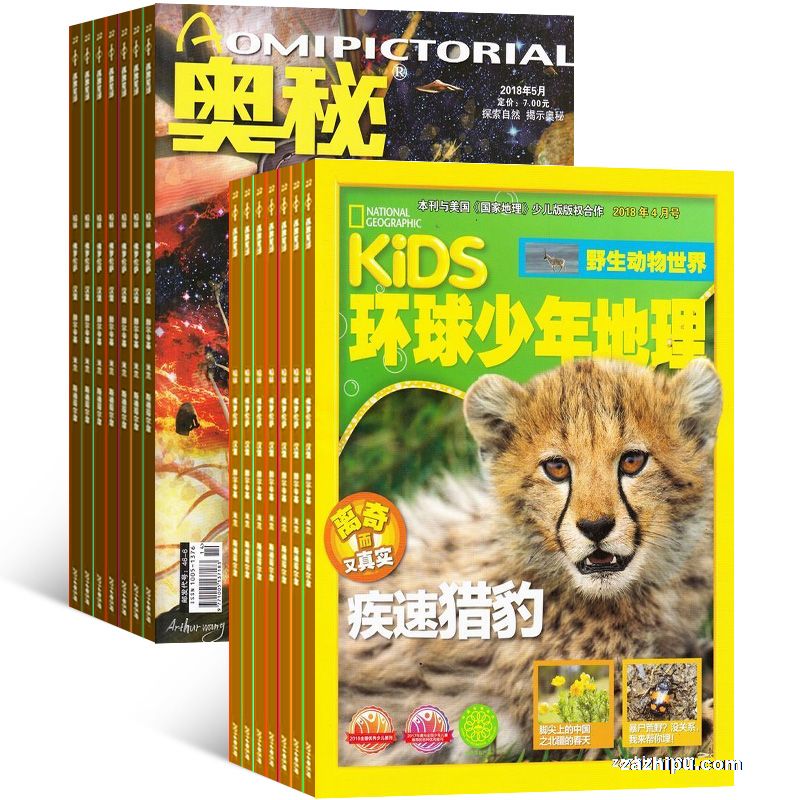 奥秘(1年共12期)+环球少年地理(1年共12期)两刊组合订阅(杂志订阅)