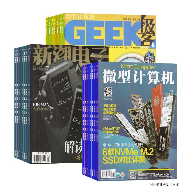 微型计算机(1年共12期)+微型计算机极客版GE(1年共12期)+新潮电子(1年共12期)(杂志订阅)