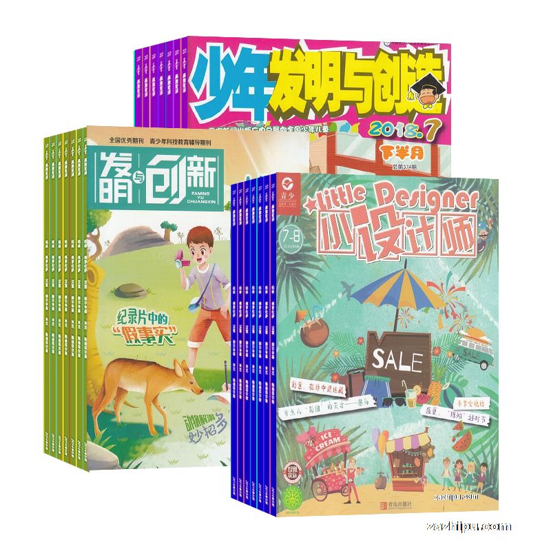 小设计师(1年共12期)+发明与创新小学版(1年共12期)+少年发明与创造(1年共12期)