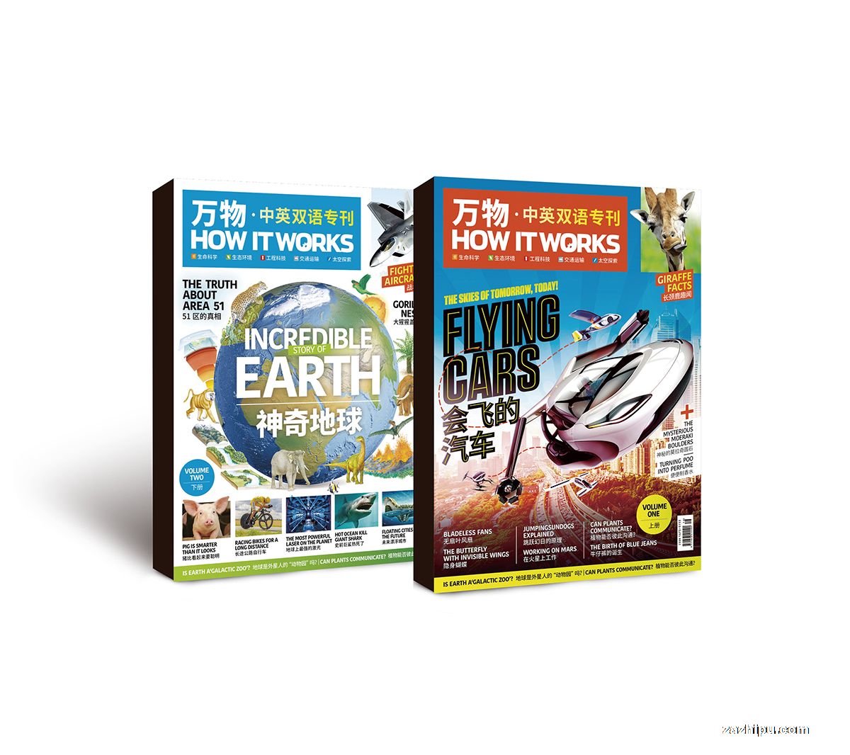 下架2019年万物双语专刊(上下两册)