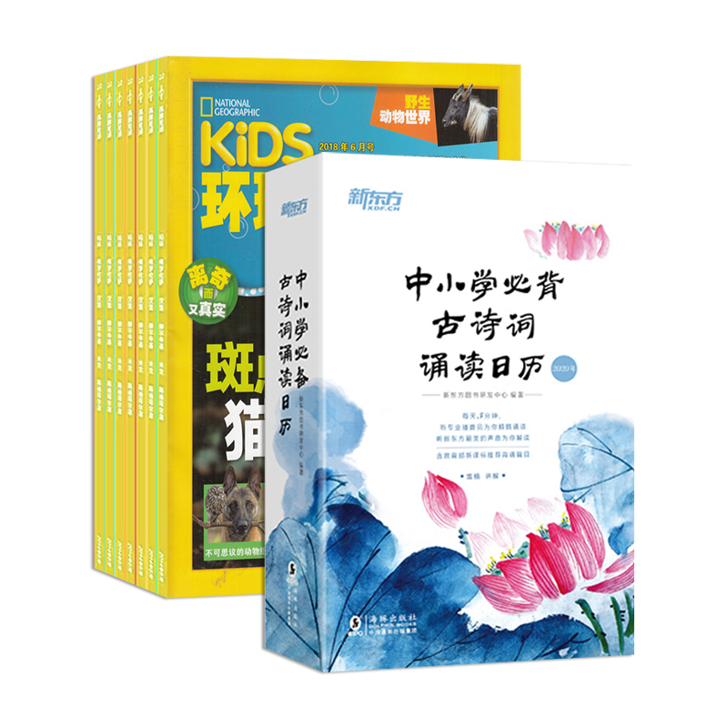 KiDSҵٶȨ1깲12ڣ+Сѧرʫж
