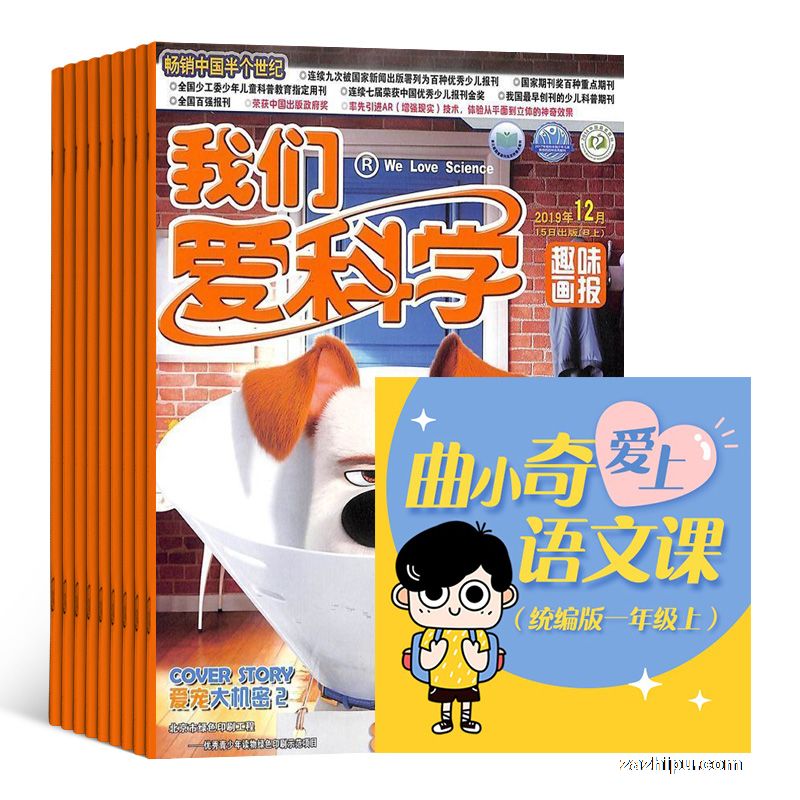 ǰѧͯ棩1깲12ڣ+߿γ̡֪ʶ