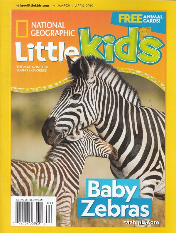 ����ɱ���׶����ҵ�����־���������ҵ����׶���3-6�꣩��1�깲6�ڣ�����־���ģ����������꽫�ָ�ԭ�۾����ڴ���һ���Ρ�